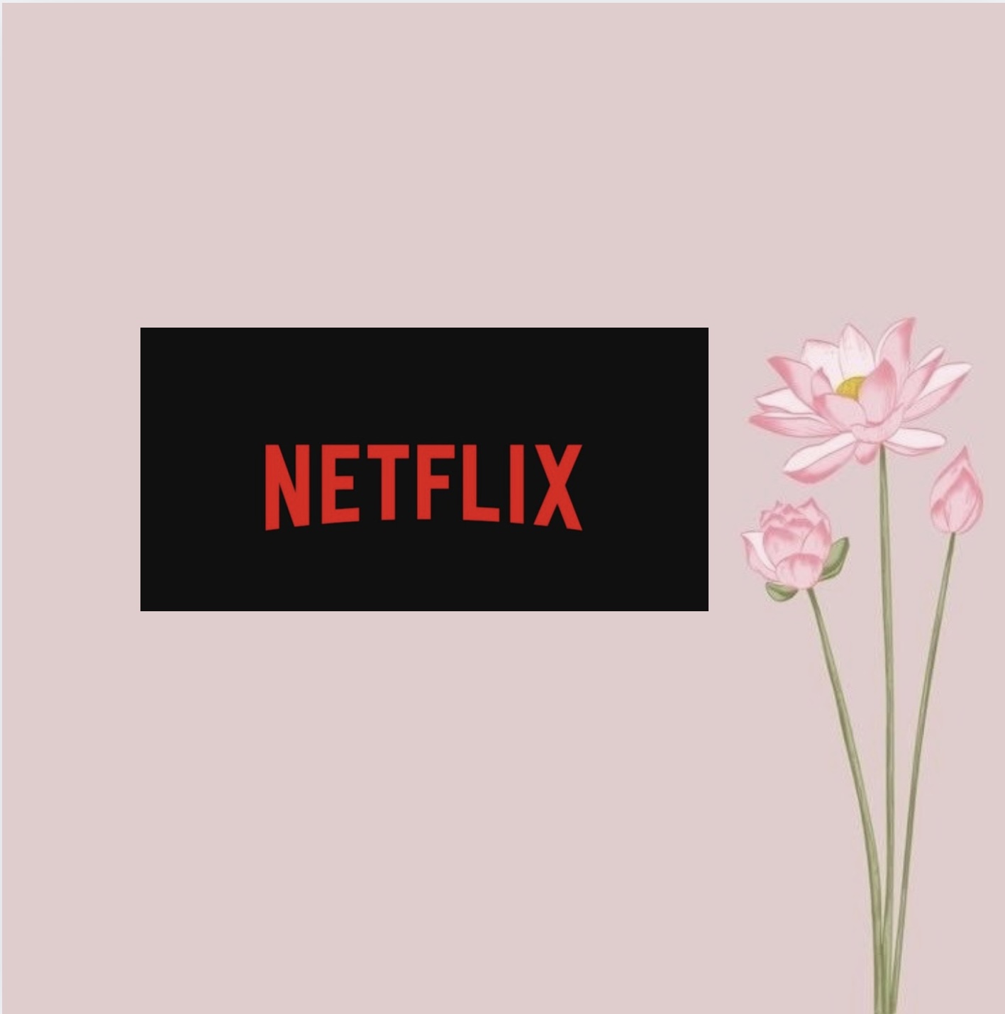 اشتراك نتفلكس 3 شهور 4K ملف خاص فيك